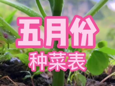 五月份还不知道种什么的,赶快收藏起来#来抖音学农技 #三农 #农业种植 #种菜时间 #上热门