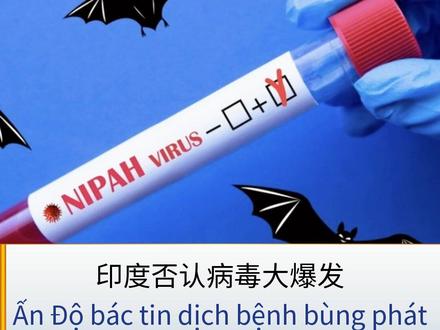 印度官方辟谣尼帕病毒大爆发!仅两例确诊
近期有消息称印度尼帕病毒大规模爆发,但印度官方迅速辟谣,表示仅有两例确诊,其他疑似病例检测结果均为阴性,并已出院。这一事件反映了病毒恐慌的传播速度远超病毒本身。在信息真假难辨的时代,普通人该如何判断?欢迎在评论区分享看法。
#印度 #尼帕病毒 #辟谣 #越企汇 #软件开发