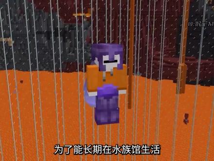 #我的世界 #mc #mc不灭 你敢相信末地会被淹没?