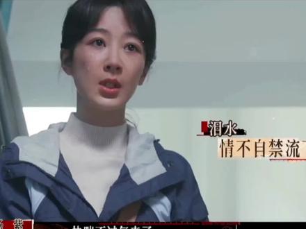 #白菊 坦露与邵云飞离婚的真正原因
#生命树 #生命树看完走不出来
#杨紫