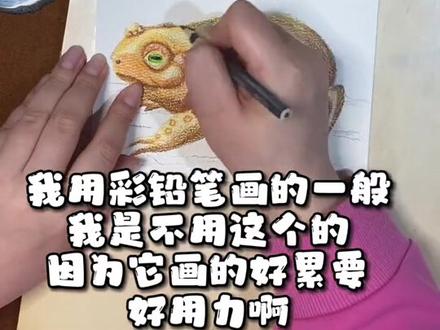 手绘彩铅画 绘画青蛙🐸癞蛤蟆 蝌蚪 小蝌蚪变身 生物 #画画 #插画 #创作灵感 #原创 #艺术 #创意美术 #青蛙 #蝌蚪 #蝌蚪变青蛙