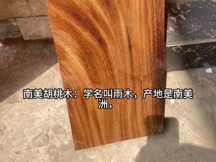 南美胡桃木:学名叫雨木,产地是南美洲,主要是南美洲的哥伦比亚、斐济、维纳瑞拉及厄瓜多尔;雨木心材褐色,在径切面有深色条纹;边材白色或黄色,生长轮明显。其木材性质表现为色泽柔和,纹理清晰;不易变形,坚硬而富有弹性,线型简练,而且带有黑金。富有美饰效果的色泽纹理,充分显示材质本身的质感和丰厚的自然美。无特殊气味和滋味;结构紧密,均匀。木材硬度适中,干缩甚小,气干密度0.6g/cm3。能够带出空间的质感,显示出低调的奢华,稳重却又富有生气,宁静又不失遐想,彰显主人的设计品味。是一种优质的家具木材。#世界公认的好木材,设计师的首选。当前消费者所青睐的装修风格。#南美胡桃木 #胡桃木 #进口木材 #家具材料