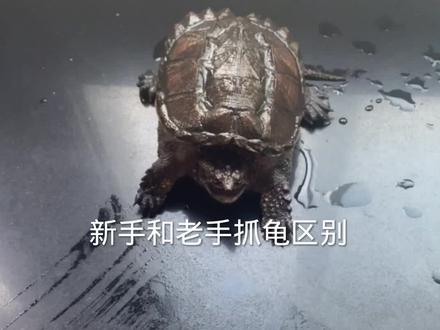 这下你学会了吗