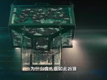 食人鱼凶猛残暴,为什么没有称霸亚马逊河?它的天敌到底有多可怕 #雨林 #食人鱼 #水下拍摄