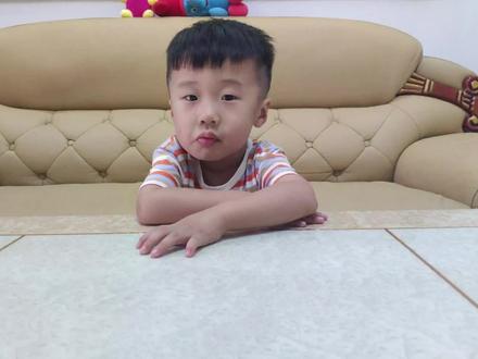 会动的小丑鱼,蹦蹦跳跳好可爱