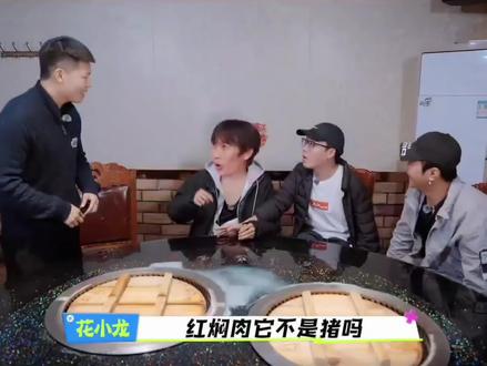 我不行了,就这段反复看,笑得我肚子疼。红焖肉它不是猪吗?#OK了老铁们 #花小龙 #五der #陈泽综艺