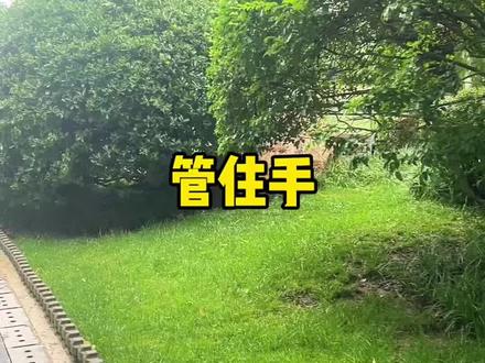 管住手,注意仓位#半导体 #金融 #投资