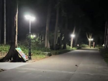 来看几种稀有的罕见动物。 #科普一下