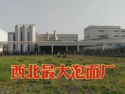 实拍西北最大的泡面工厂,它生产的食品很多人吃过