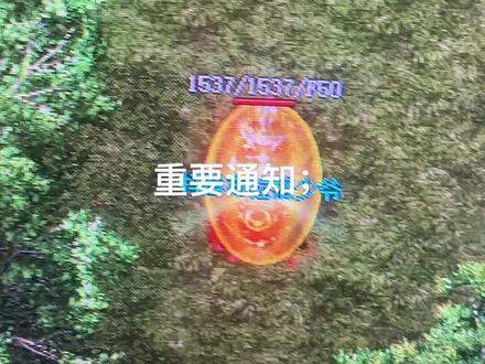 @传奇布拉格少爷(生活版)