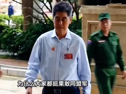 为什么大家都挺果敢同盟军?