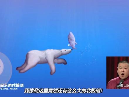 小白鲨在海底遇见北极熊,扬言要把小白鲨吃掉!