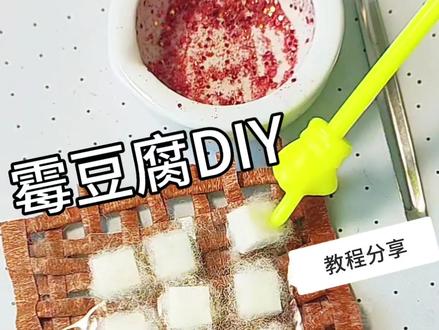 霉豆腐diy教程!还有谁没有玩到霉豆腐#真实生活分享计划 #霉豆腐 #DIY #我的手工日常 #霉豆腐制作