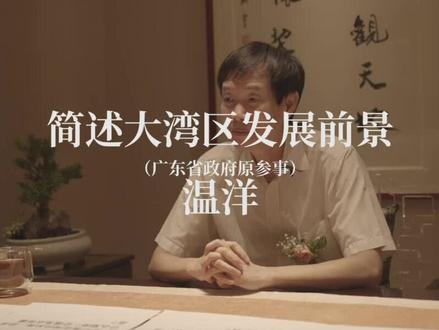 (广东省政府原参事)温洋:莲花湾片区推动传统产业升级及战略新兴产业发展,形成创新产业链,带动经济发展 #金侨岭南院#莲花湾