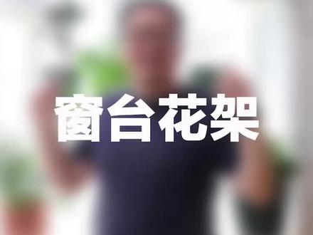 我在窗台搭了个架子,多养了好几盆花#好养的绿植