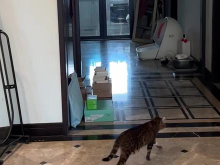 给欧洲小偷一点震撼…#出行必备 #欧洲旅行 #好物推荐🔥 #抽象