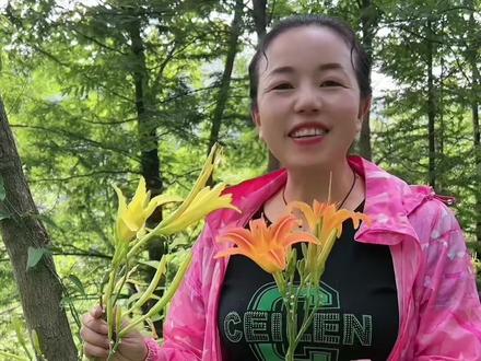 萱草和黄花菜是两种植物,快来看一看,你到底分清楚了吗?#新农村计划2022 #略阳植物志 #植物科普