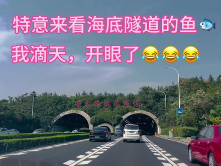山东人不骗山东人,这个隧道天幕到底有没有???🥹🥹🥹#胶州湾海底隧道 #失望又怎能感同身受 #青岛旅游攻略