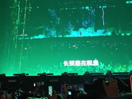 自存8 《淡季动物园》好温柔好好听
