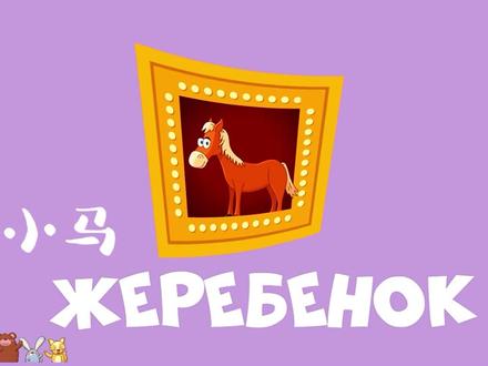 俄语动物相关单词,分公母和幼崽,一起背更方便#俄语 #俄语学习 #学俄语 #俄语入门 #俄语教学