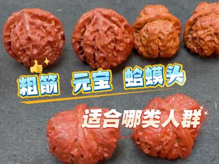 粗筋 元宝 蛤蟆头 这三款核桃究竟如何选择#文玩爱好者 #文玩收藏 #粗筋狮子头 #平谷元宝#蛤蟆头核桃
