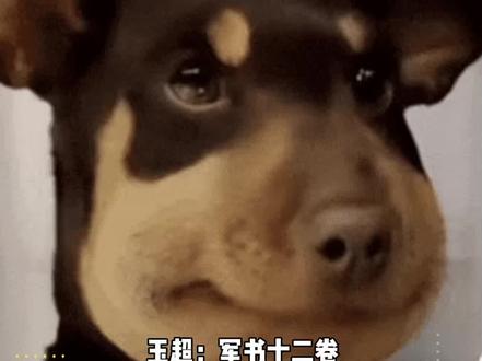 上班要考代言人露思英文名发音,郭玉超直接原地失业 #赵露思 #郭玉超 #双向奔赴太好磕了 #打工人快乐日常