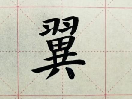 我们一起学汉字吧!每日一字,与字成说!“翼” #规范字书写 #硬笔书法 #书法 #练字 #每天学习一点点