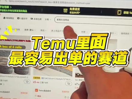 TEMU里边有三个非常容易出单的赛道 #temu #temu选品 #极鲸云