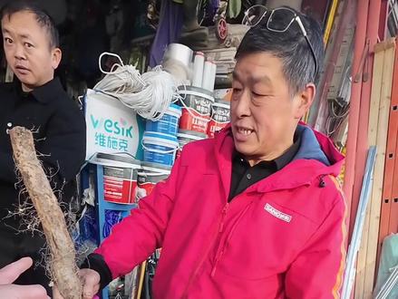 今天不差点着你麻咯们 老辈子#野生山药#社交牛逼症