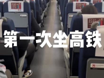 第一次坐高铁不会怎么办?第一次坐高铁怎么找自己的车厢?高铁座位充电插口在哪?……新手第一次坐高铁详细流程来喽~#高铁 #郑漂 #高铁动车 #郑州东站 #沉浸式坐高铁#第一次坐高铁