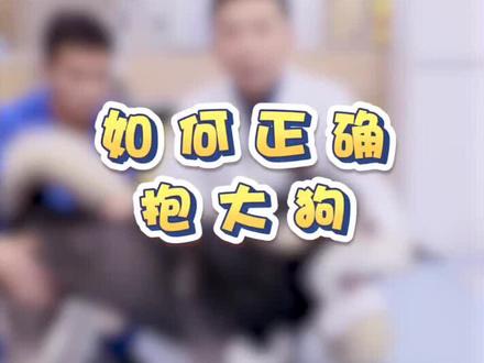 要怎么正确的抱大狗呢?@抖音萌宠 #萌宠出道计划 #萌宠出道练习生 #狗 @宠物医师刘朗博士