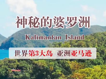 神秘的婆罗洲 世界第三大岛屿,亚洲版“亚马逊” #婆罗洲 #加里曼丹岛 #海岛 #最美海岛 #马来西亚 #旅行 #旅游 #旅游景点 #大自然 #神奇大自然