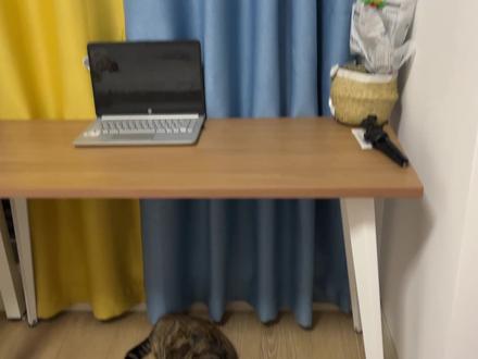 入门级透壳键盘,灯光打开那一刻是真好看#机械键盘#RK87#透壳键盘