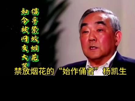 禁放烟花爆竹的始作俑者,杨凯生:是环保先驱,还是环保终结者!