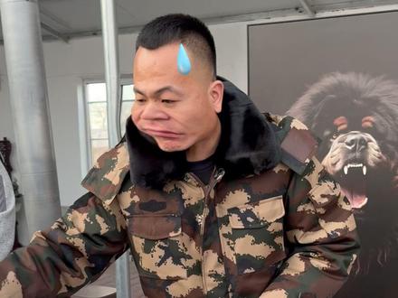 小猫小狗都可以喂的#宠物零食 #冻干羊奶棒 #冻干生骨肉 到手一斤