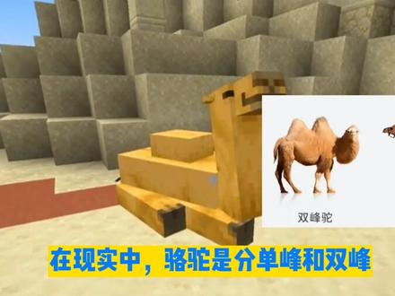 我的世界1.20全新版本更新你不知道的7件事,骆驼,竹筏,新书架,悬挂牌#我是世界 #1.20版本更新 #冷知识