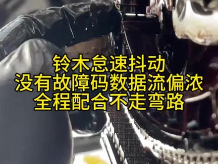 #远程诊断佳洋 #铃木 怠速抖动加速无力没有故障码#新能源汽车维修 #专业的事交给专业的人 #新能源汽车