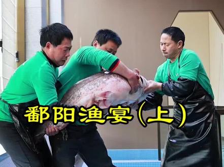 #餐饮 #鄱阳渔宴 鄱阳渔宴试营业了!欢迎鄱阳的朋友前去打卡。