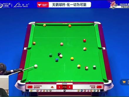 薛老师五炸一接,对手彻底被打麻了 #薛珍麒 #台球🎱