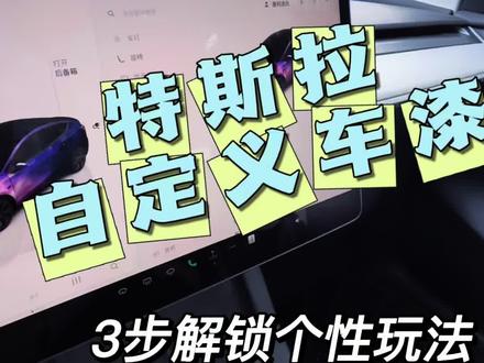 绝了!特斯拉自定义车漆+车牌号,3步解锁个性玩法 #特斯拉自定义教程 #特斯拉车漆皮肤 #特斯拉ota