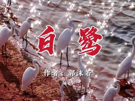 第一课《白鹭》#五年级上学期 #语文 #第一课白鹭 #小学语文课本