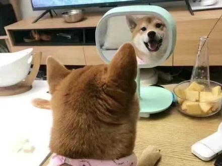 安徽单招英语恶补一下!关于安徽单招的可以咨询哦#安徽单招 #单招 #备考 #单招倒计时