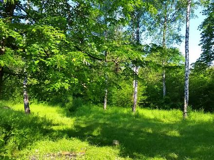 森林中的声音,听鸟儿歌唱,放松精神,解压助眠,轻松入睡。#聆听大自然的旋律 #鸟类叫声 #鸟叫声 #听鸟叫声 #大自然鸟鸣声 #听鸟鸣声 #大自然的声音 #治愈系风景 #享受放松 #愿所有的美好和期待都能如约而至 #治愈系风景 #实景拍摄 #小鸟唱歌 #鸟儿唱歌 #鸟儿歌唱 #助眠asmr