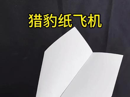 猎豹纸飞机。#手工 #手工diy #纸飞机 #折纸 #抖音折纸