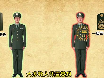解析我国军队军衔和职务区别 #军事科普 #军事爱好者