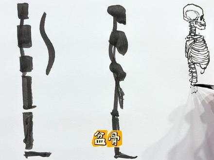 骨架(侧面)怎么画?#一起画 #速写