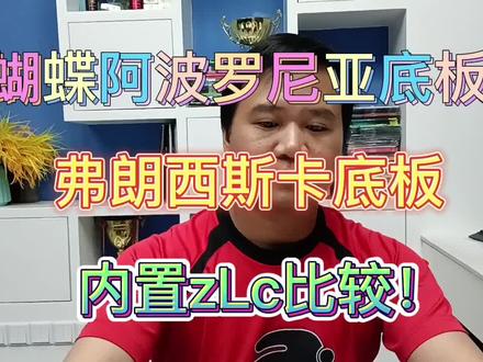 蝴蝶阿波罗尼亚和弗朗西斯卡底板相比较,内置zLc纤维加碳素结构 #乒乓 #套胶 #底板 #底板套胶搭配 #diy乒乓球拍搭配