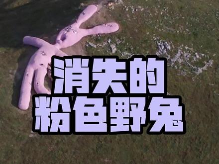 一只与环境格格不入的巨大粉色野兔,最终消逝于自然之中。#艺术 #金馆长说艺术 #当代艺术 #格力廷 #兔子 #艺术在抖音 #抖音青年艺术家计划 #图文互助计划