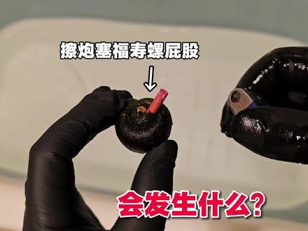 把“擦炮”塞福寿螺屁股里,扔到水中会发生什么?#福寿螺