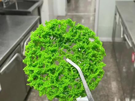 宴会出品神器#凉菜 #冷菜 #蜂窝脆片 @DOU+小助手